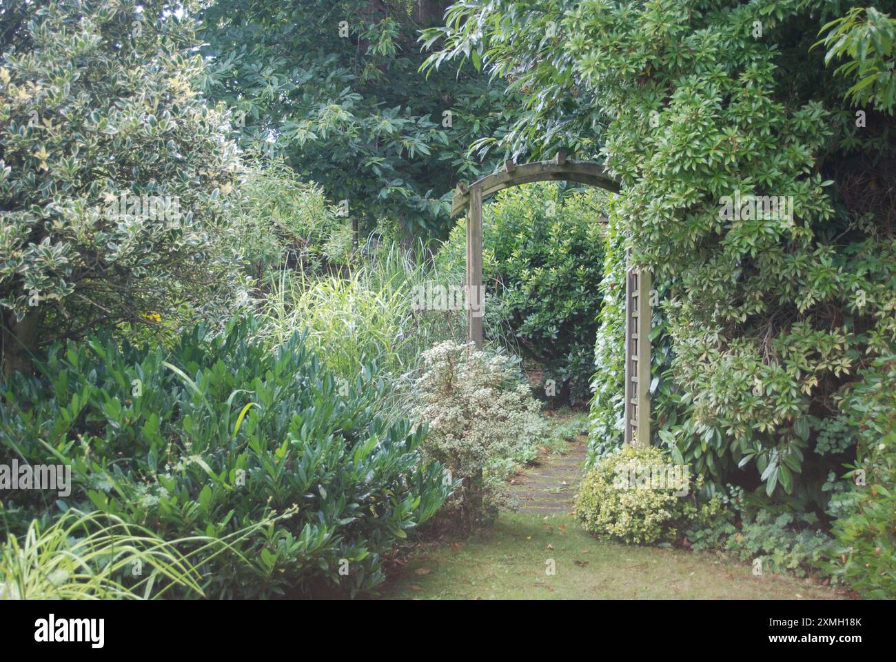 Hampshire Garden Foto Stock