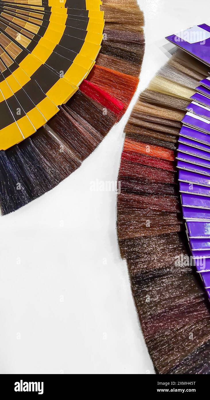 Una tavolozza di colori dei capelli fatta di fili artificiali su sfondo bianco. Selezione del colore. Copia spazio Foto Stock