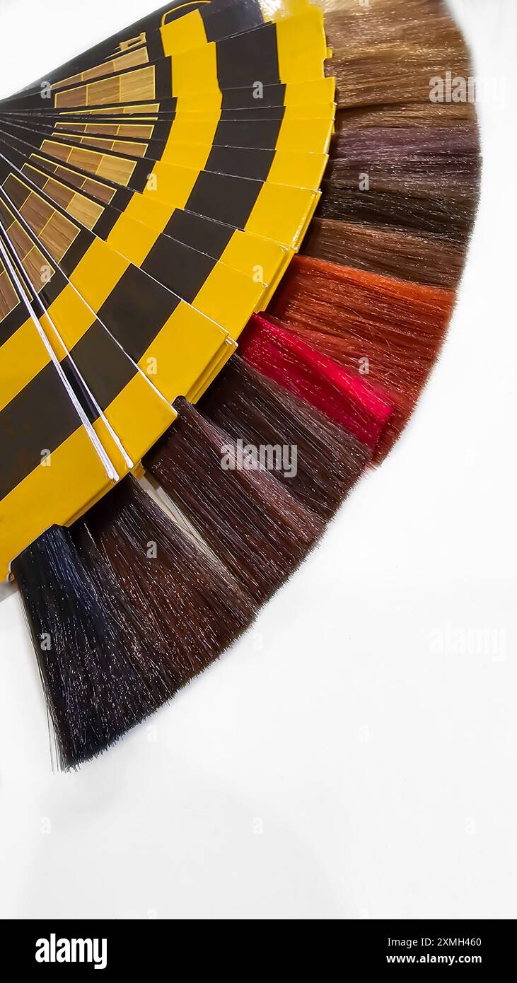 Una tavolozza di colori dei capelli fatta di fili artificiali su sfondo bianco. Selezione del colore. Copia spazio Foto Stock