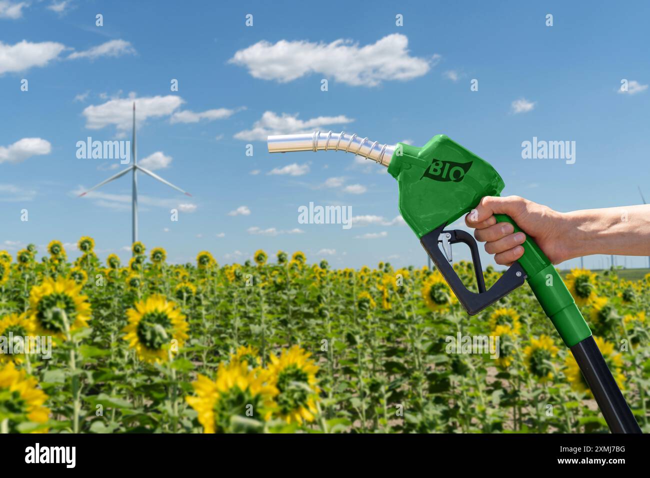 Con l'ugello di rifornimento di biocarburante sullo sfondo di un campo di girasole con turbine eoliche. Foto Stock