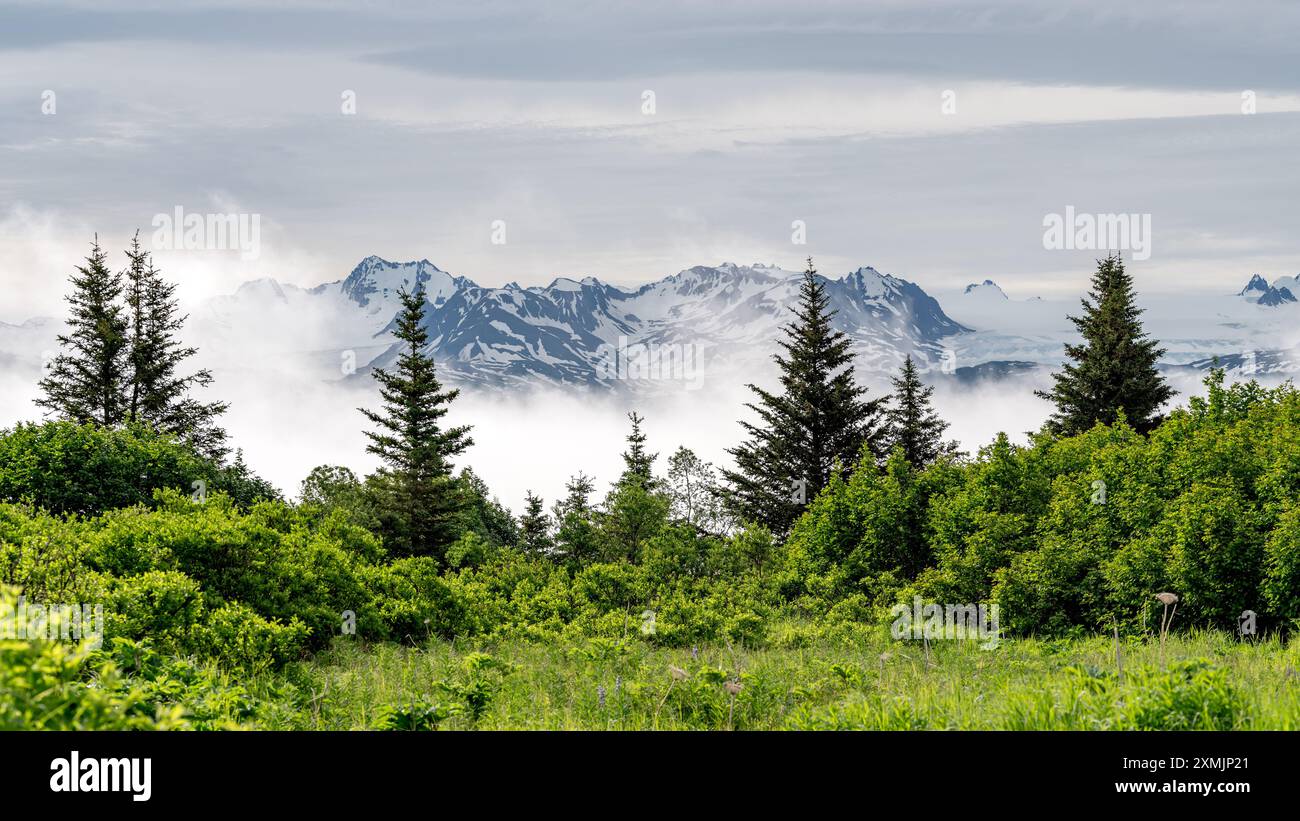 Alte vette dell'Alsakan con neve su di esse Foto Stock