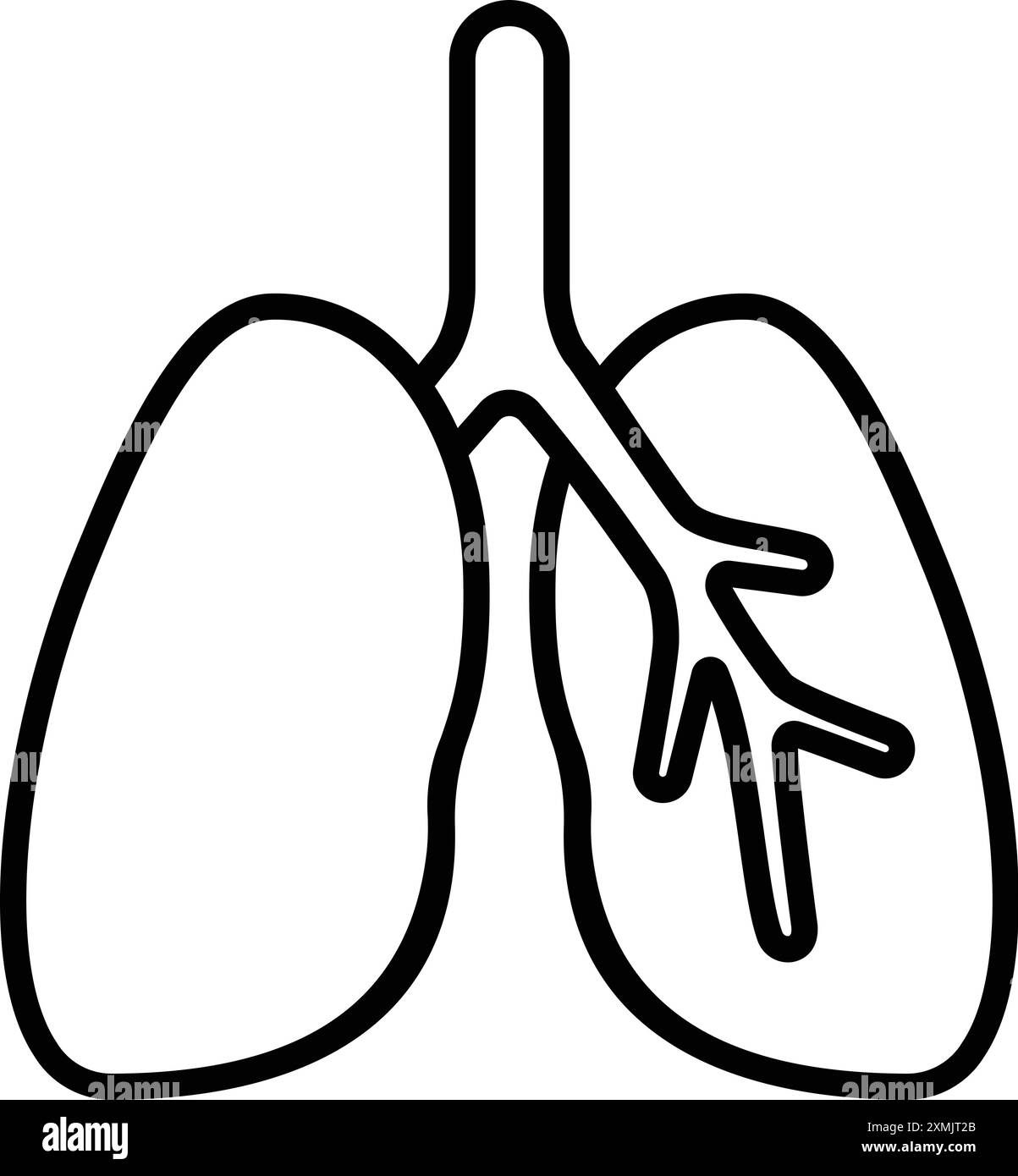 Sistema respiratorio, polmoni, umano, interno, organo, corpo Illustrazione Vettoriale