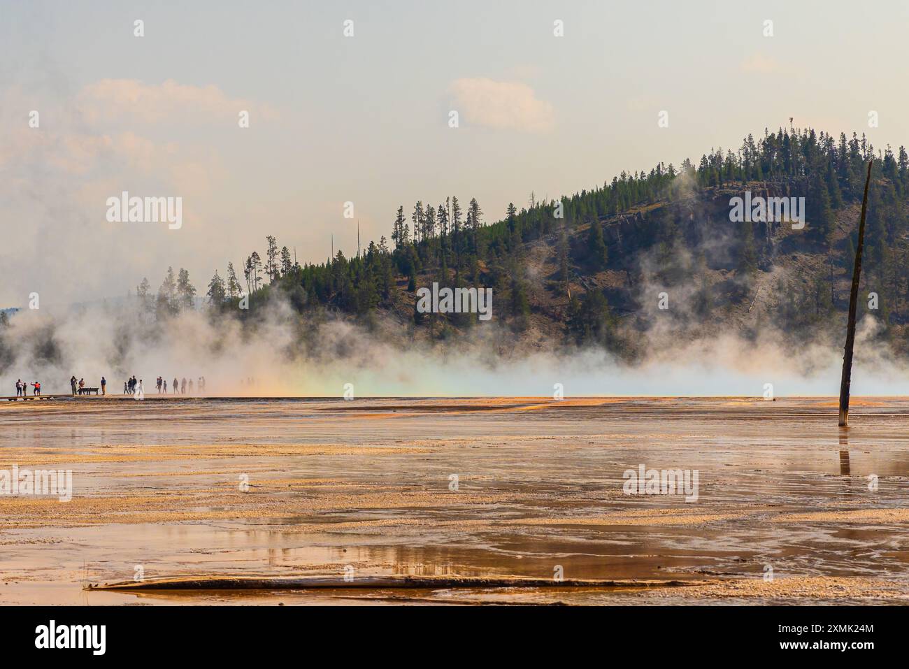 Grand Prismatic Spring al parco nazionale di Yellowstone Foto Stock
