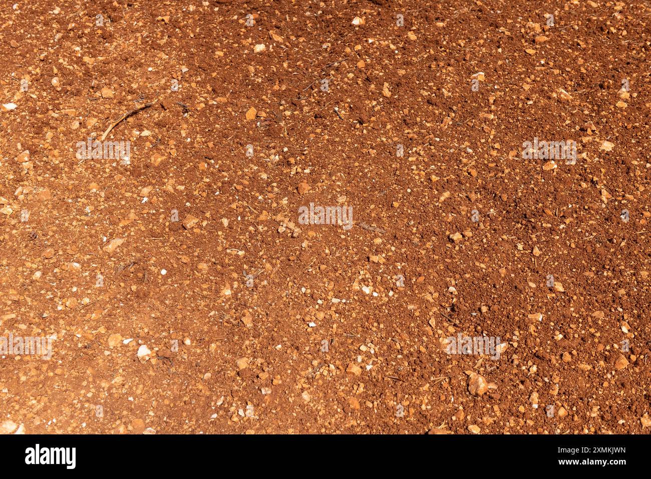 Fondo terreno marrone naturale con alcuni elementi vegetali. Foto Stock