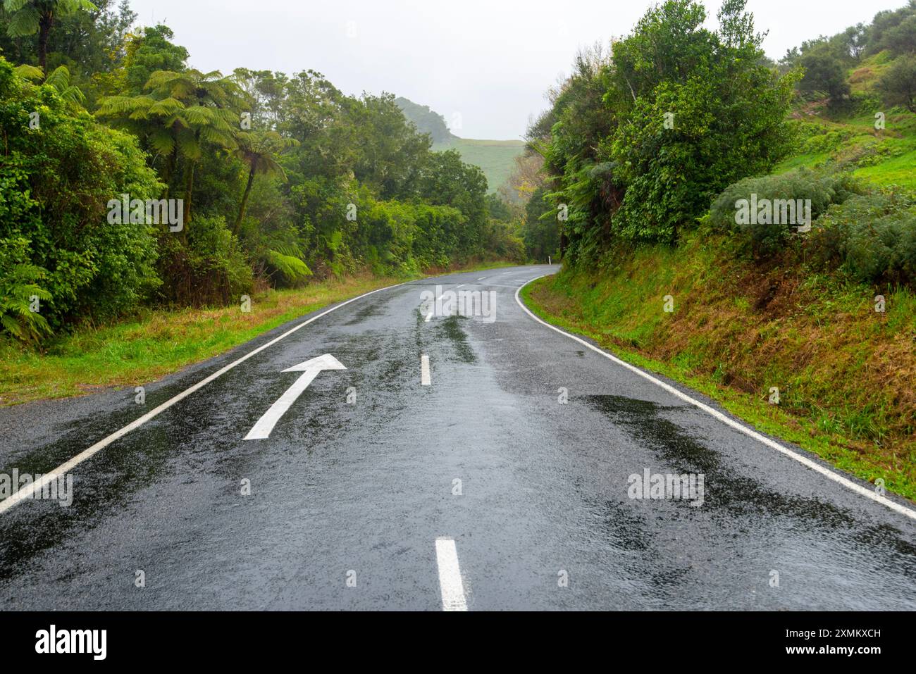 Te Anga Road nella regione di Waikato - nuova Zelanda Foto Stock