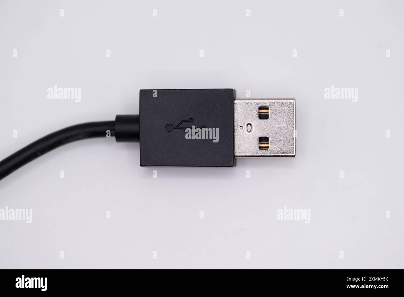 Cavo USB tipo A primo piano su sfondo bianco Foto Stock