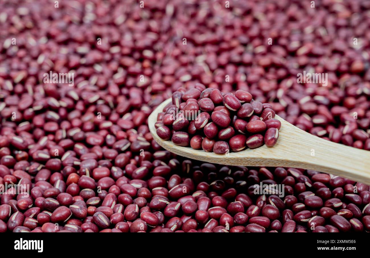 Fagioli Adzuki sfondo e consistenza, primo piano Foto Stock