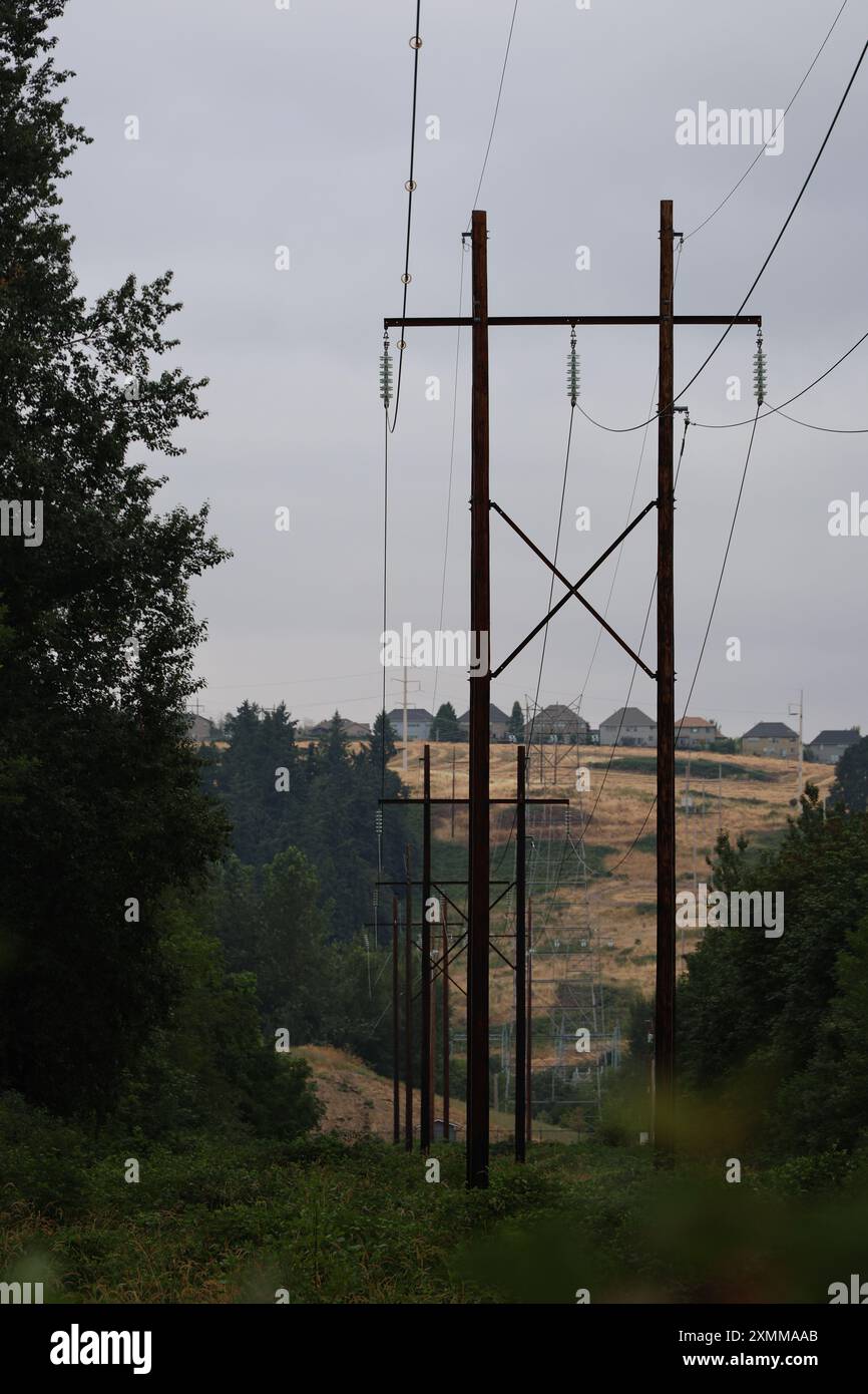 I pali dell'elettricità Foto Stock