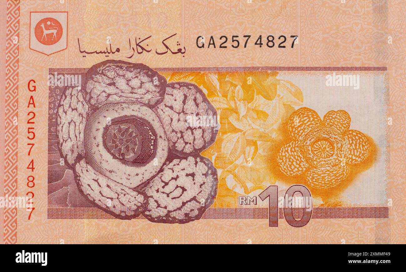 La nota RM10 presenta piante parassitarie a fiore di rafflesia sul retro. Foto Stock