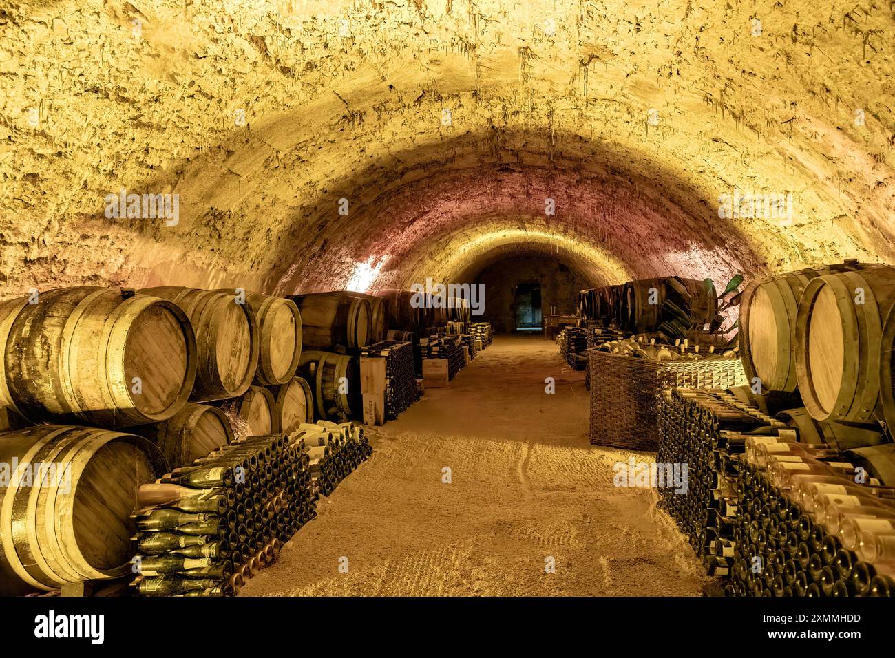 Cantina, Chateau Vaux le Vicomte, Maincy, Ile-de-France, Francia Foto Stock