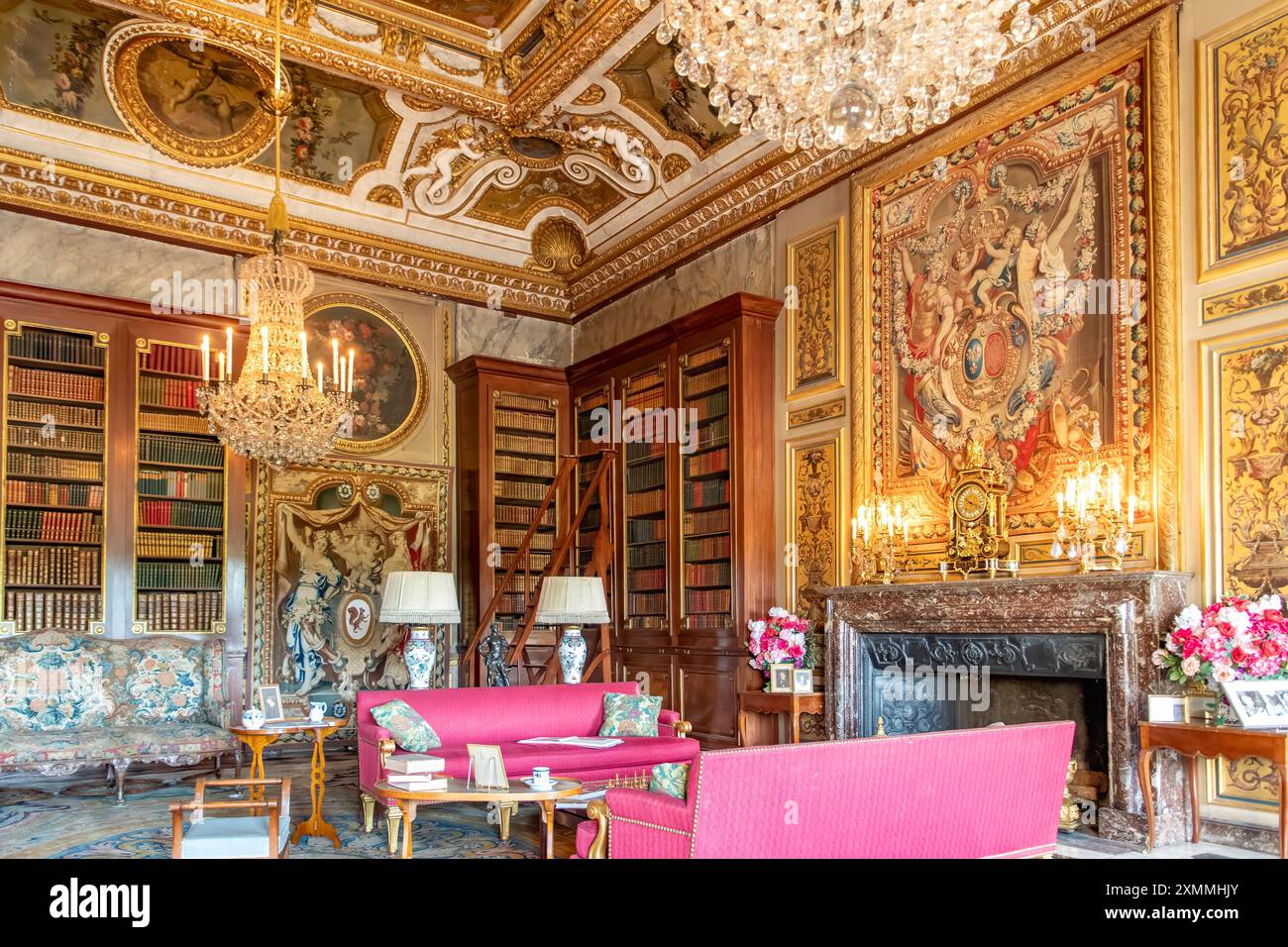 Biblioteca, Chateau Vaux le Vicomte, Maincy, Ile-de-France, Francia Foto Stock