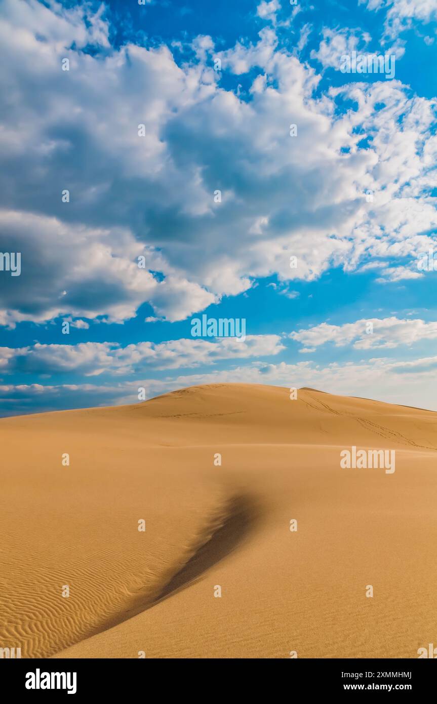 FRANCIA. GIRONDE (33) LA TESTE-DE-BUCH, PYLA-SUR-MER, DUNE DU PILAT SUMMIT ALLA FINE DELLA GIORNATA CON IMPRONTE Foto Stock