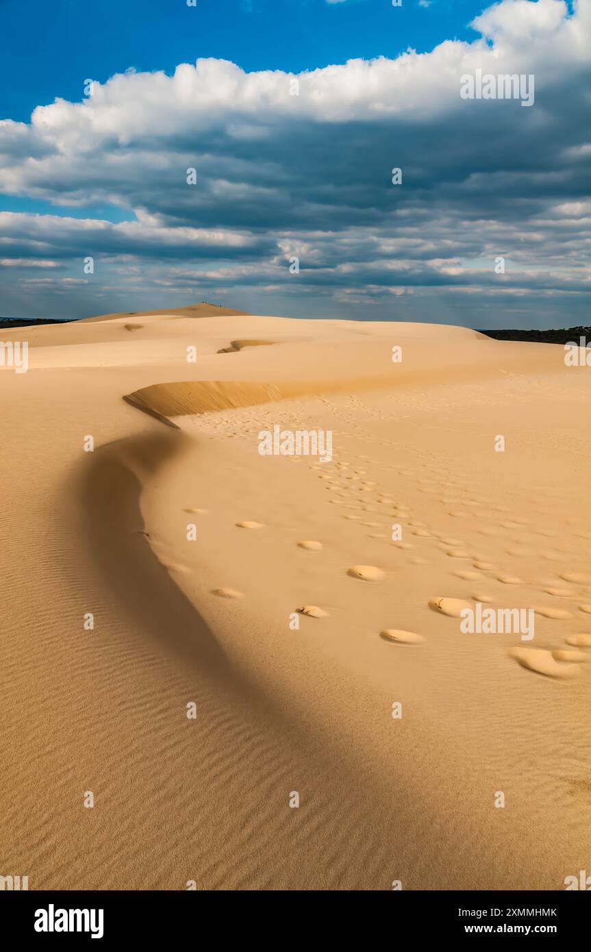 FRANCIA. GIRONDE (33) LA TESTE-DE-BUCH, PYLA-SUR-MER, DUNE DU PILAT SUMMIT ALLA FINE DELLA GIORNATA CON IMPRONTE Foto Stock