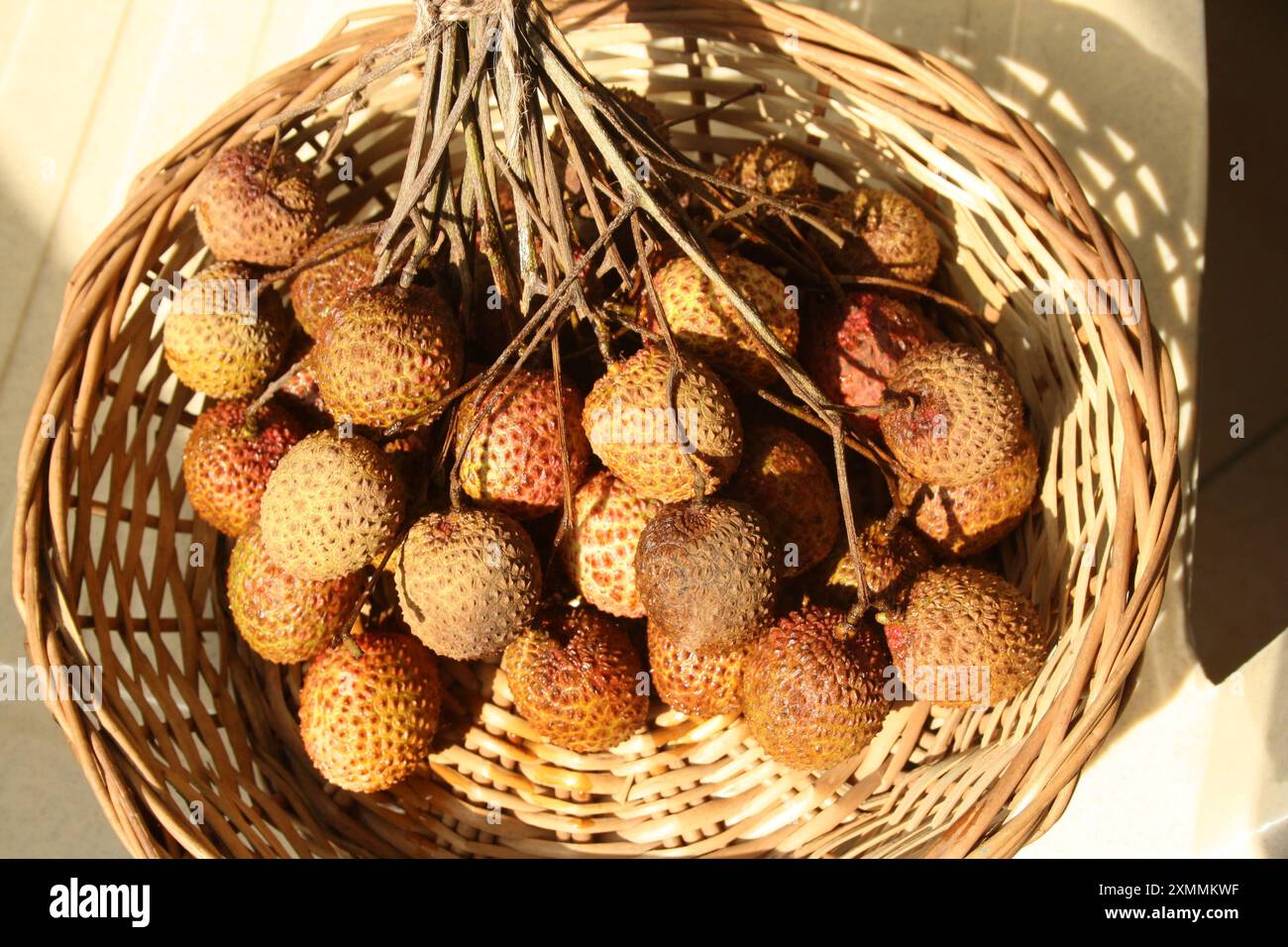 Frutti Lychee o Litchi (Litchi chinensis) ricoperti di buccia dura e ruvida : (Pix Sanjiv Shukla) Foto Stock