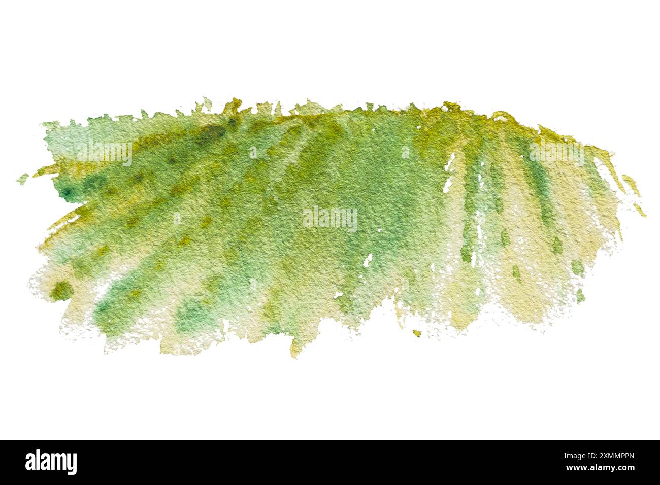 Paesaggio con campo verde. Illustrazione ad acquerello, campo disegnato a mano in zona montuosa, vigneti. Illustrazione per sfondo, poster, design. Foto Stock