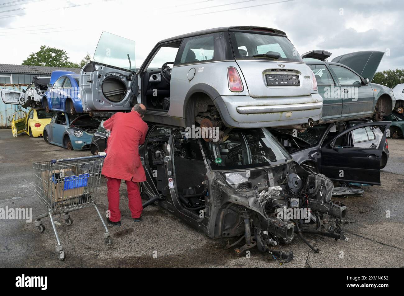 GERMANIA, Norderstedt, Kiesow, riciclaggio e rottamazione di auto usate di vecchia data, BMW Rover mini cooper, meccanico alla ricerca di ricambi / DEUTSCHLAND, Norderstedt bei Hamburg, KIESOW Autorecycling + Autoteile GmbH, Autoverwertung und Recycling Foto Stock