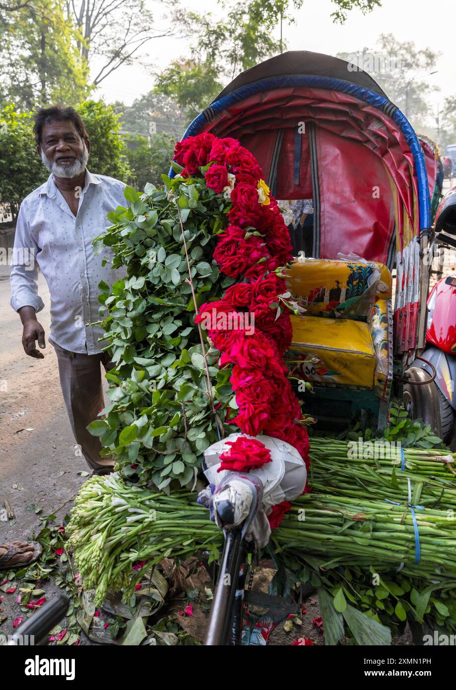 Uomo del Bangladesh che carica rose rosse su un risciò al Market, Divisione di Dhaka, Dhaka, Bangladesh Foto Stock