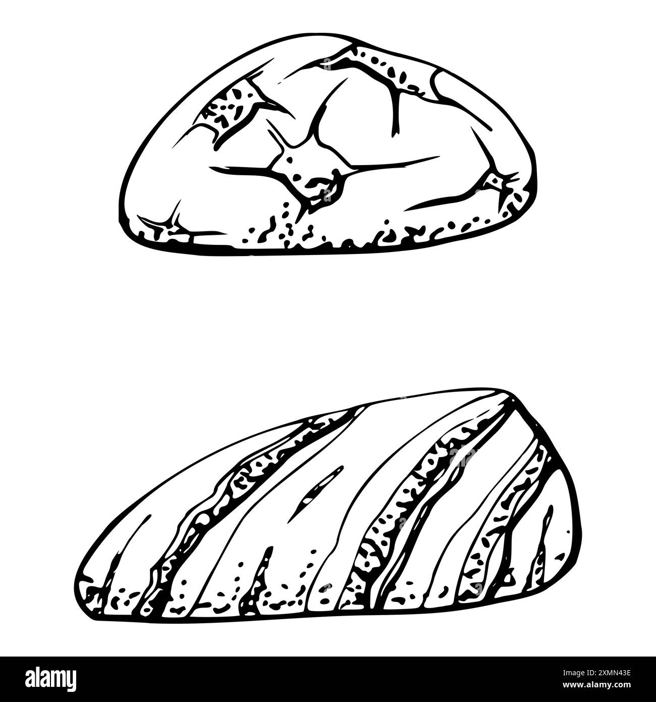 Pietre ciottoli, vita marina, oceano sottomarino decorazione zen inchiostro e penna disegnati a mano. Illustrazione a oggetto singolo, stilizzata, isolata su Illustrazione Vettoriale