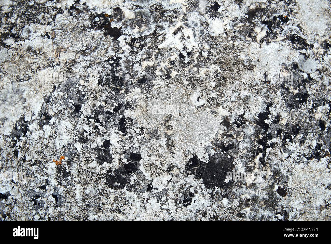 Struttura in pietra bianca e nera per lo sfondo Foto Stock