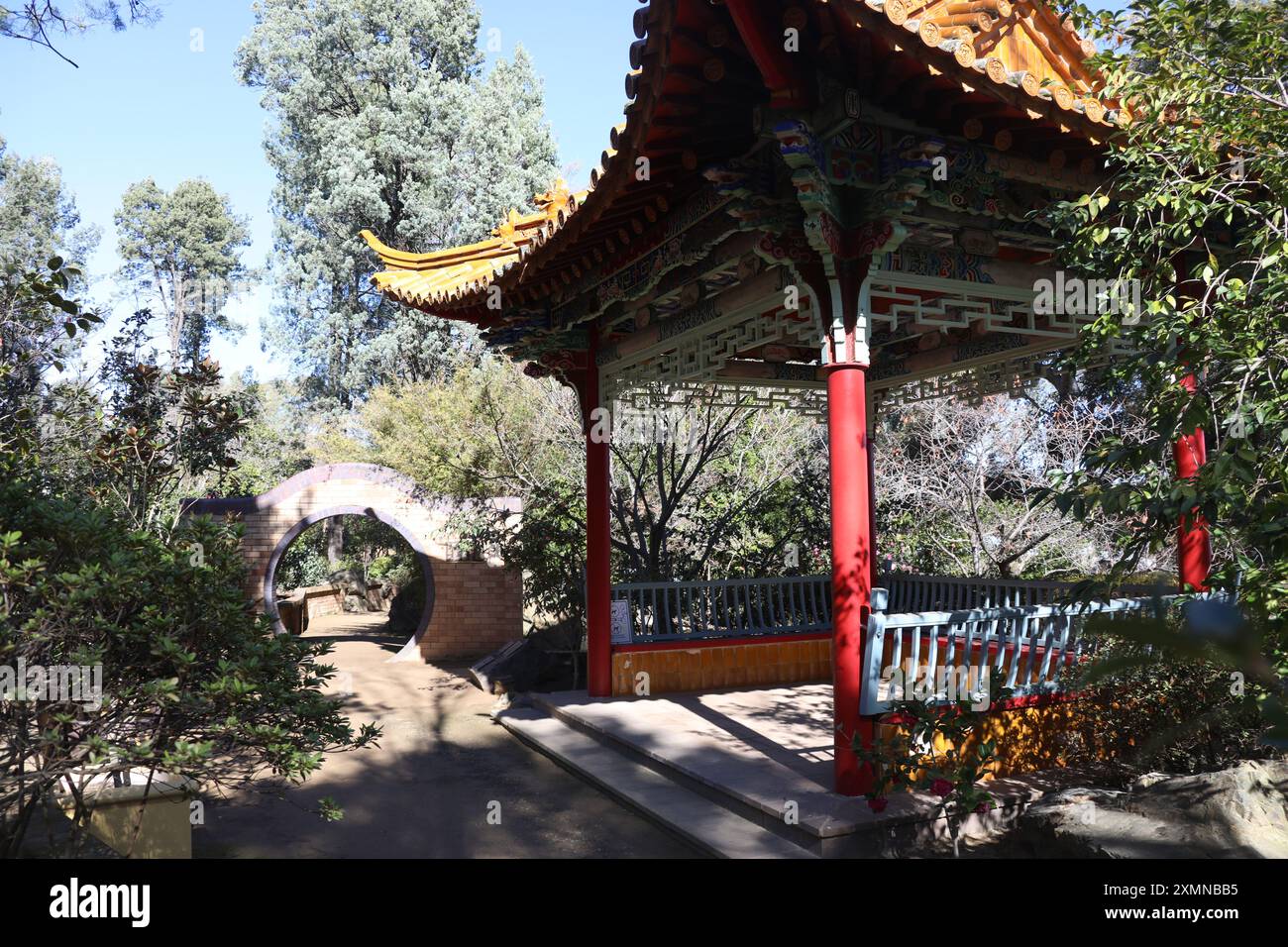 Camellia Garden, Wagga Wagga, NSW, Australia Foto Stock
