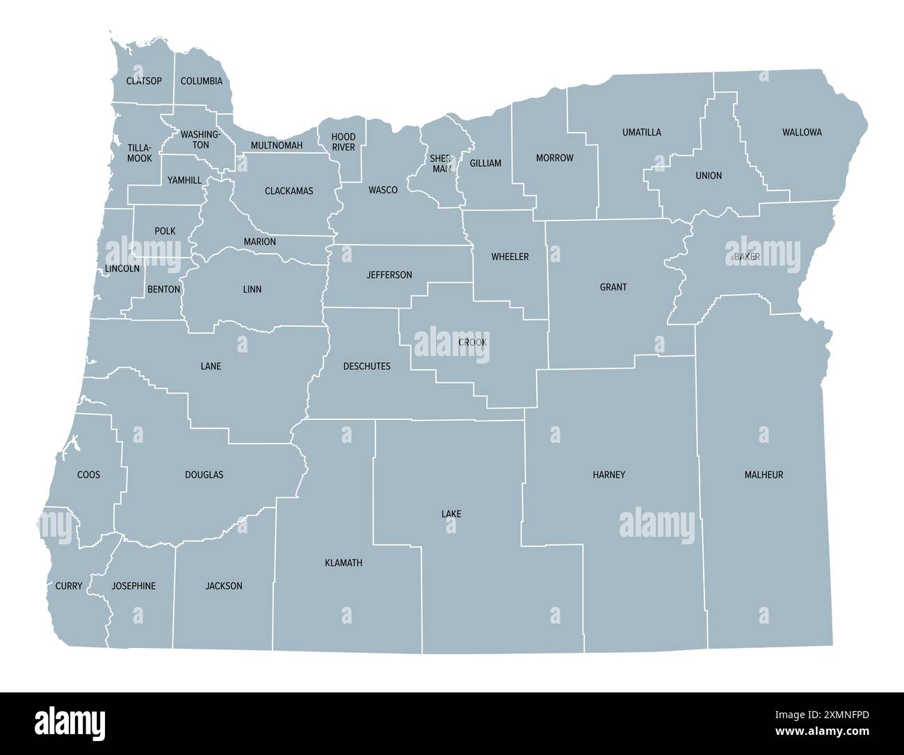 Contee dell'Oregon, mappa politica grigia con i confini e i nomi delle contee. Stato nella regione nord-occidentale del Pacifico degli Stati Uniti. Foto Stock