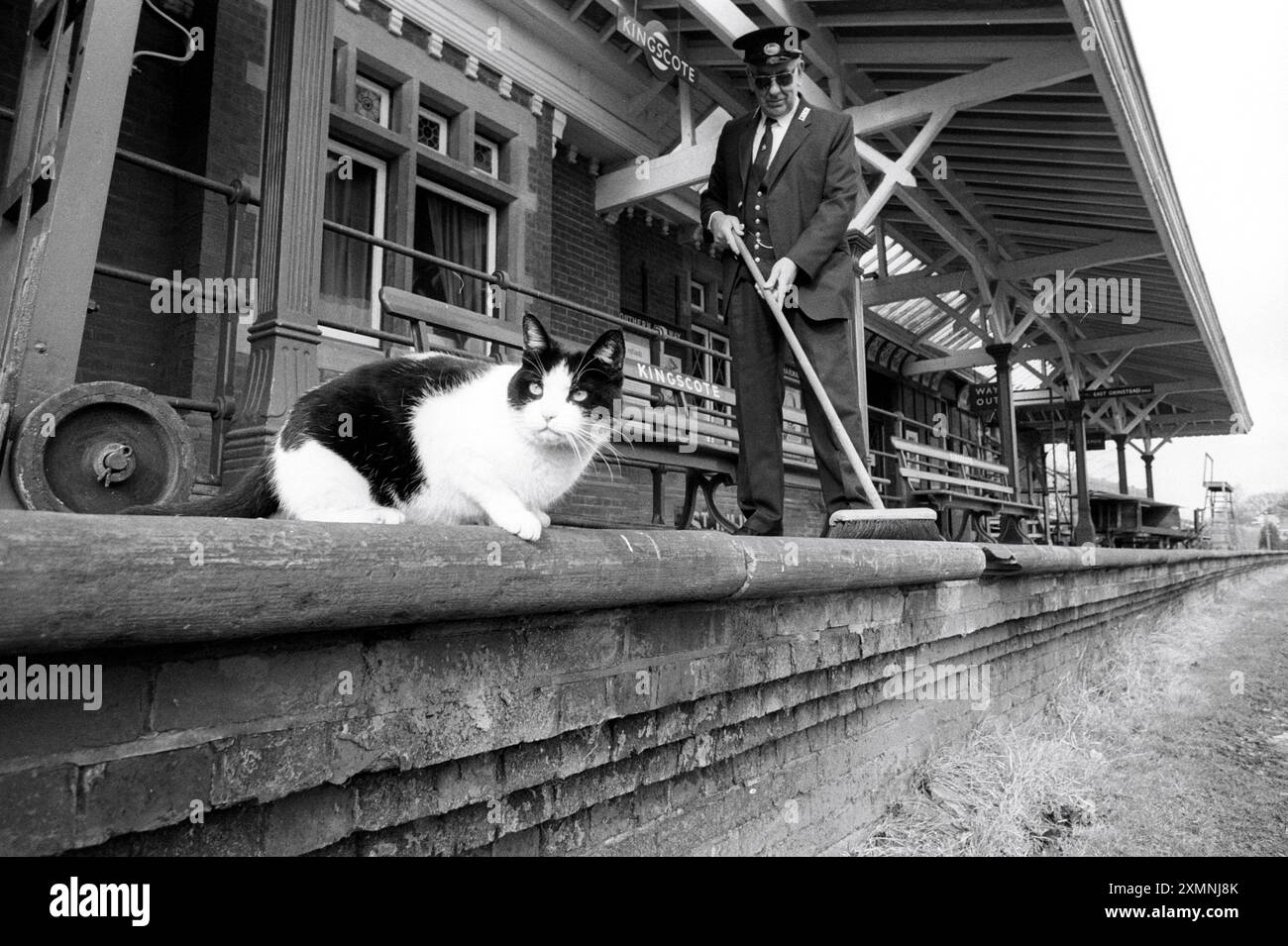 Station Cat presso Kingscote station sulla Bluebell Railway 6 marzo 1991 foto di Roger Bamber Foto Stock