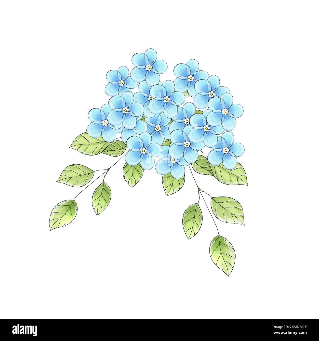 Acquerello primaverile, fiori romantici. Primrose artistiche a secchio. Disegna a mano. Isolato Foto Stock