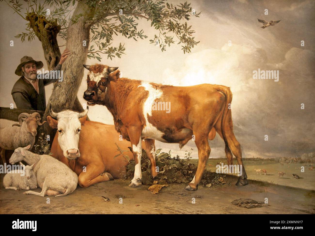Il giovane toro o il toro (1647) di Paulus Potter (1625-1654).toro a grandezza naturale, mucche, pecore, una capra e un pastore sotto un cielo drammatico. Foto Stock