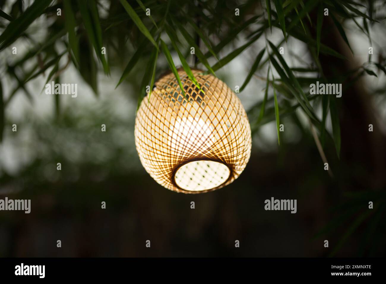 In mezzo al verde, una lanterna di bambù artigianale diffonde delicatamente la luce, incarnando l'eleganza eco-chic. Foto Stock