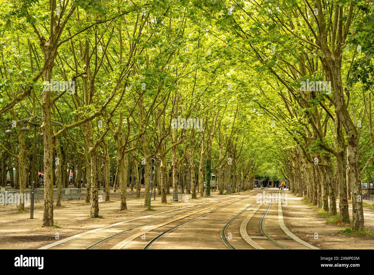 Avenue in Place des Quinconces, Bordeaux, Nouvelle Aquitaine, Francia Foto Stock