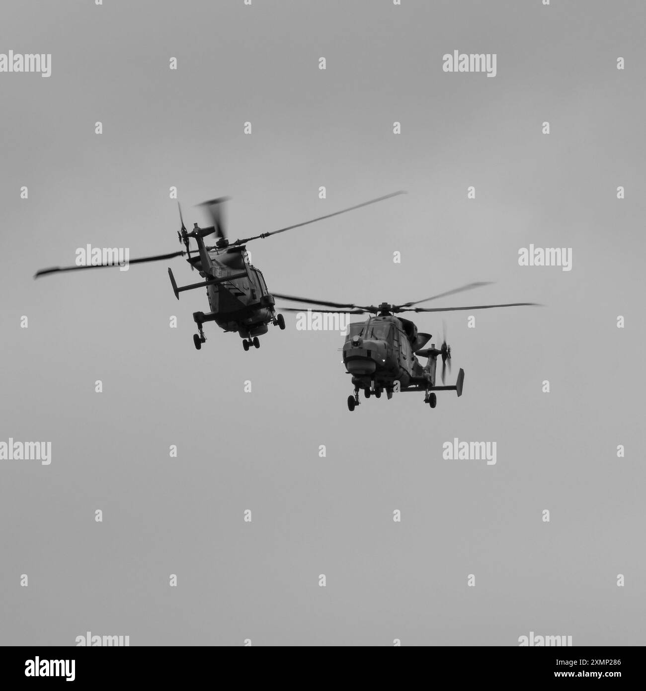 Il Black Cats Helicopter display Team della Royal Navy esegue un'esposizione a due navi sui loro elicotteri Wildcat HMA.2 durante il RIAT 2024, tenutosi alla RAF Fairford. Foto Stock
