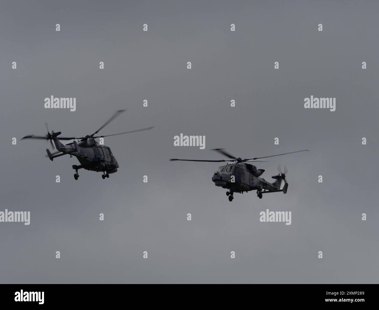 Il Black Cats Helicopter display Team della Royal Navy esegue un'esposizione a due navi sui loro elicotteri Wildcat HMA.2 durante il RIAT 2024, tenutosi alla RAF Fairford. Foto Stock