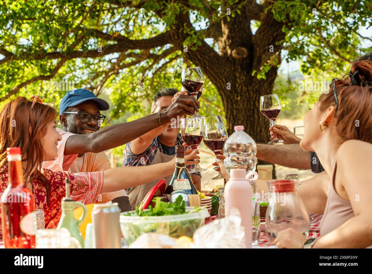 Allegro gruppo multietnico di amici che alzano bicchieri da vino durante un brindisi durante un picnic all'aperto. Persone che festeggiano insieme condividendo cibo e bevande - Foto Stock