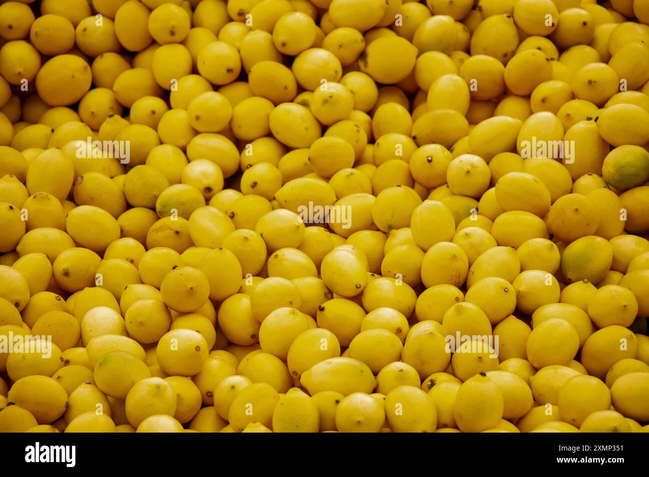 Limoni Agrumi su un mercato come texture di sfondo o Foto Stock