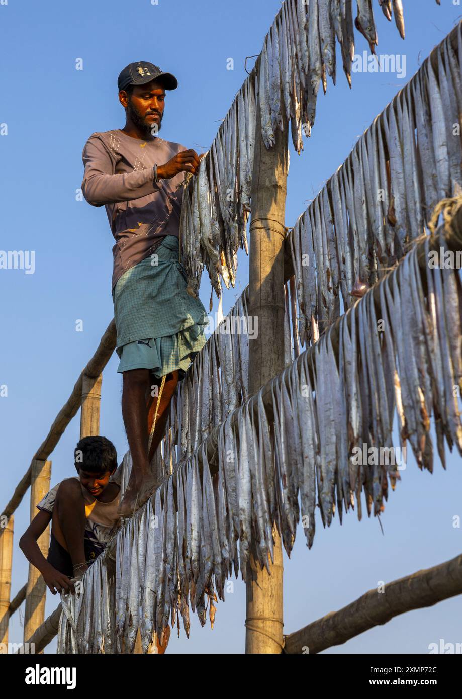 I lavoratori preparavano il pesce per asciugarsi al sole, la divisione Chittagong, il Cox's Bazar Sadar, Bangladesh Foto Stock