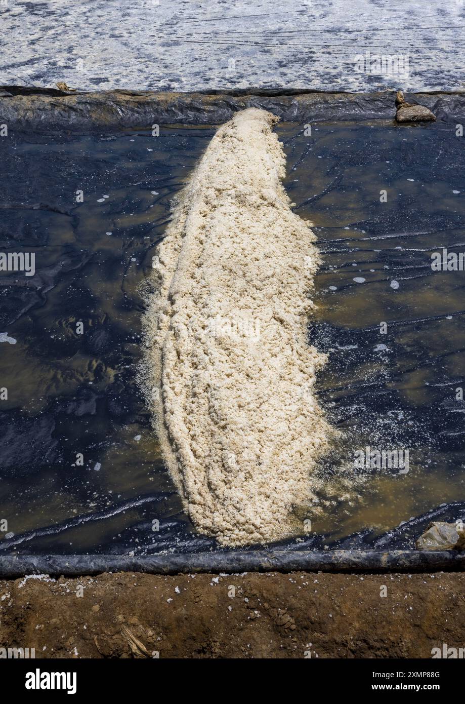 Salt Field, Chittagong Division, Maheshkhali, Bangladesh Foto Stock