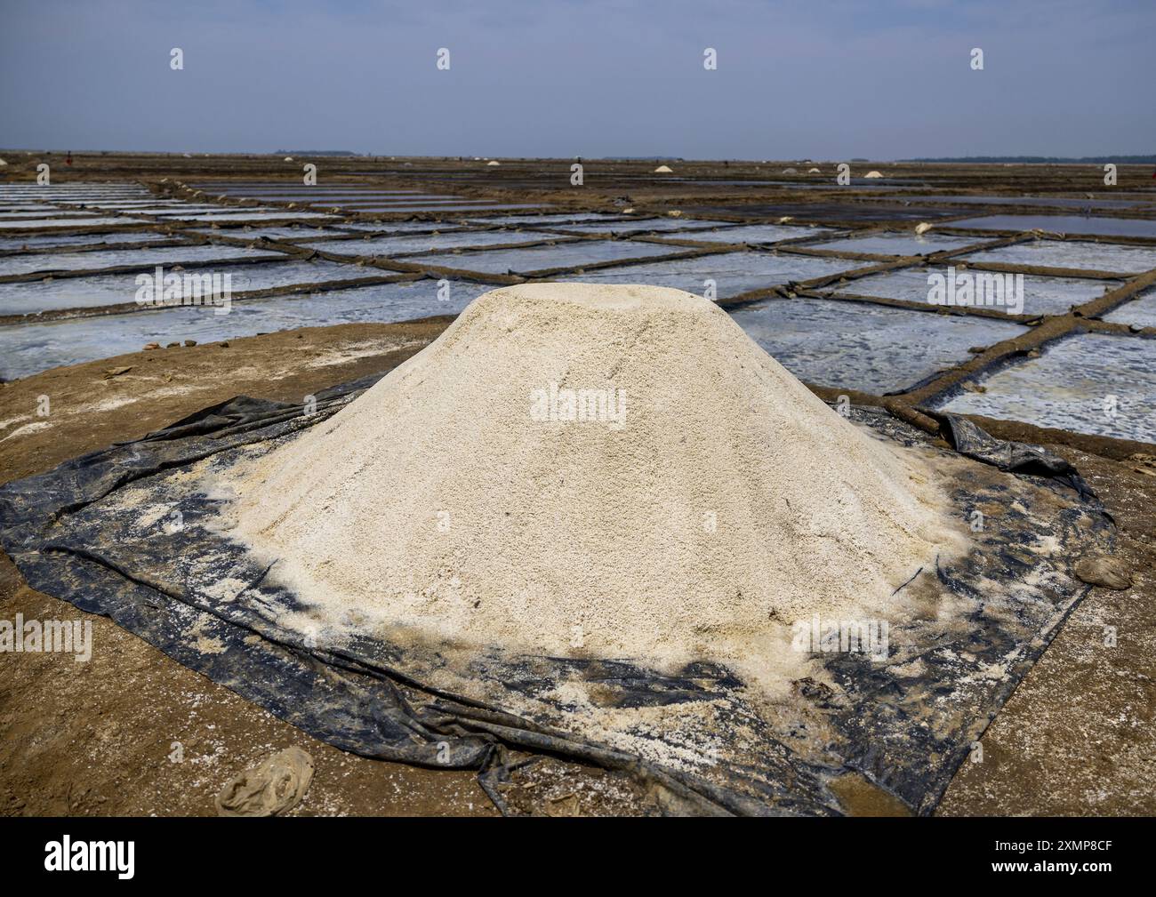 Salt Field, Chittagong Division, Maheshkhali, Bangladesh Foto Stock