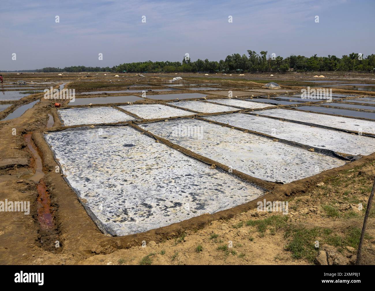 Salt Field, Chittagong Division, Maheshkhali, Bangladesh Foto Stock