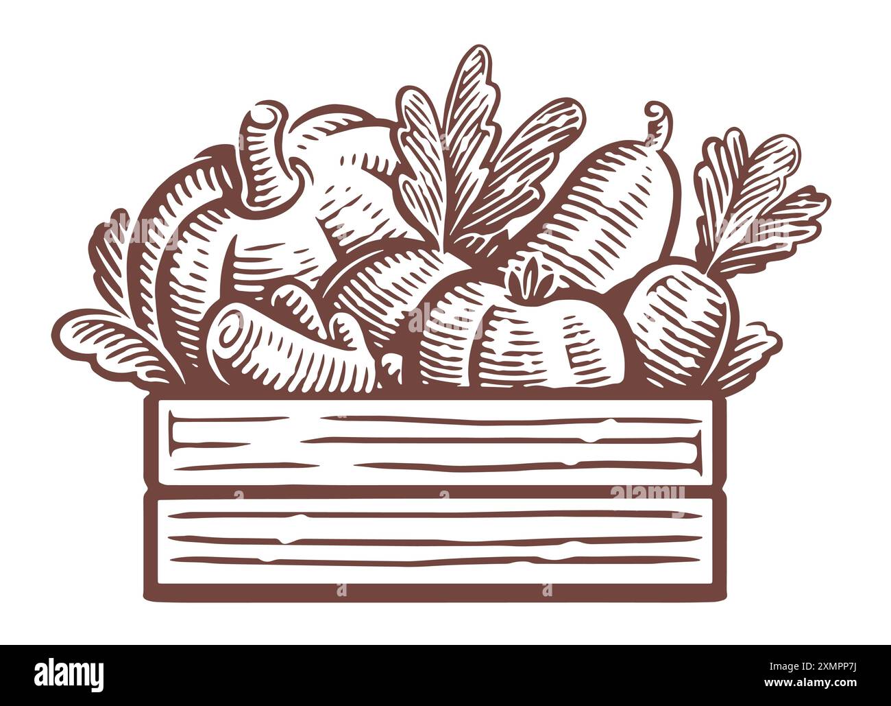 Verdure fresche in scatola di legno. Prodotti agricoli freschi, cibo vegano sano. Illustrazione del vettore di schizzo disegnato a mano Illustrazione Vettoriale