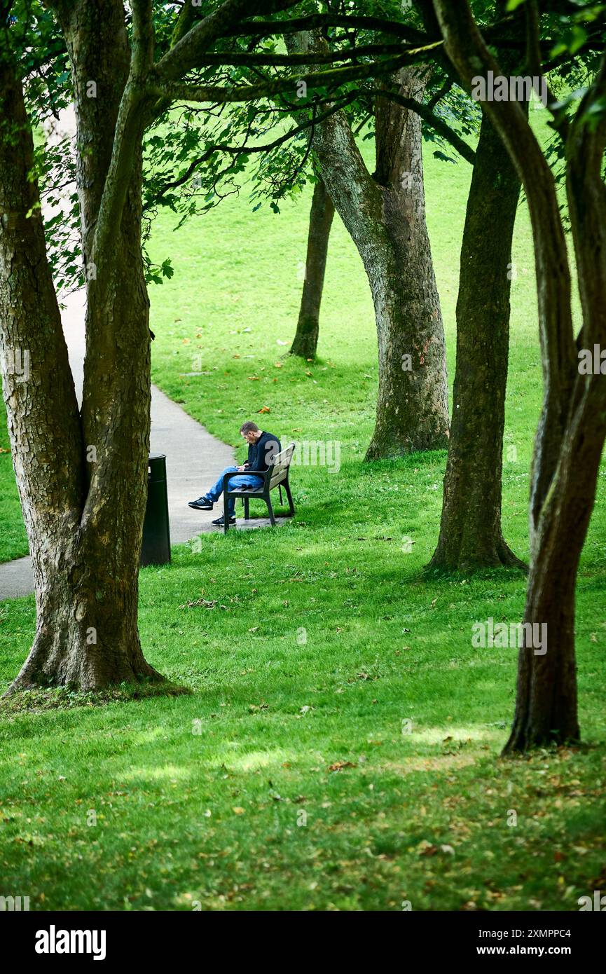 L'uomo sedeva sulla panchina nel parco pubblico circondato da alberi, Regno Unito Foto Stock