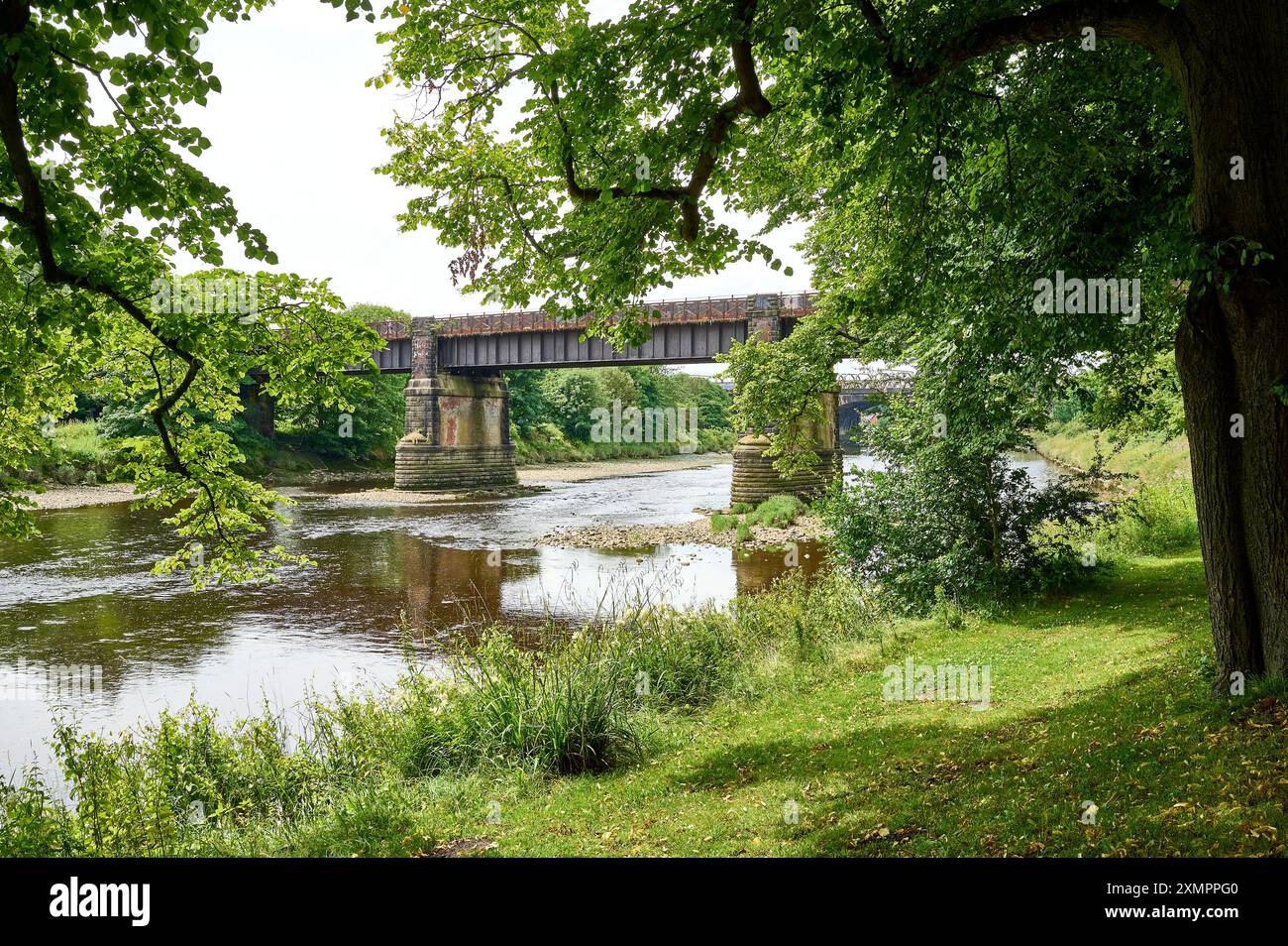 Il vecchio ponte ferroviario sul fiume Ribble ad Avenham, Preston, Regno Unito Foto Stock Il vecchio ponte ferroviario sul fiume Ribble ad Avenham, Preston, Regno Unito Foto Stock