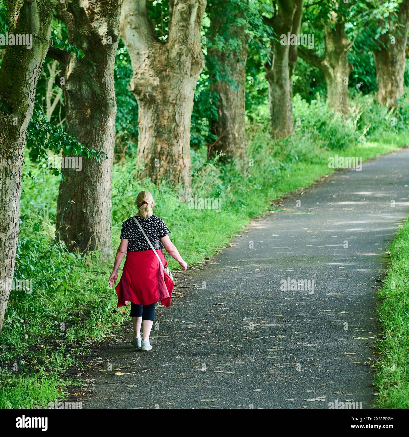 Donne in rosso che camminano lungo avenue of Trees ad Avenham Park, Preston Foto Stock Donne in rosso che camminano lungo avenue of Trees ad Avenham Park, Preston Foto Stock