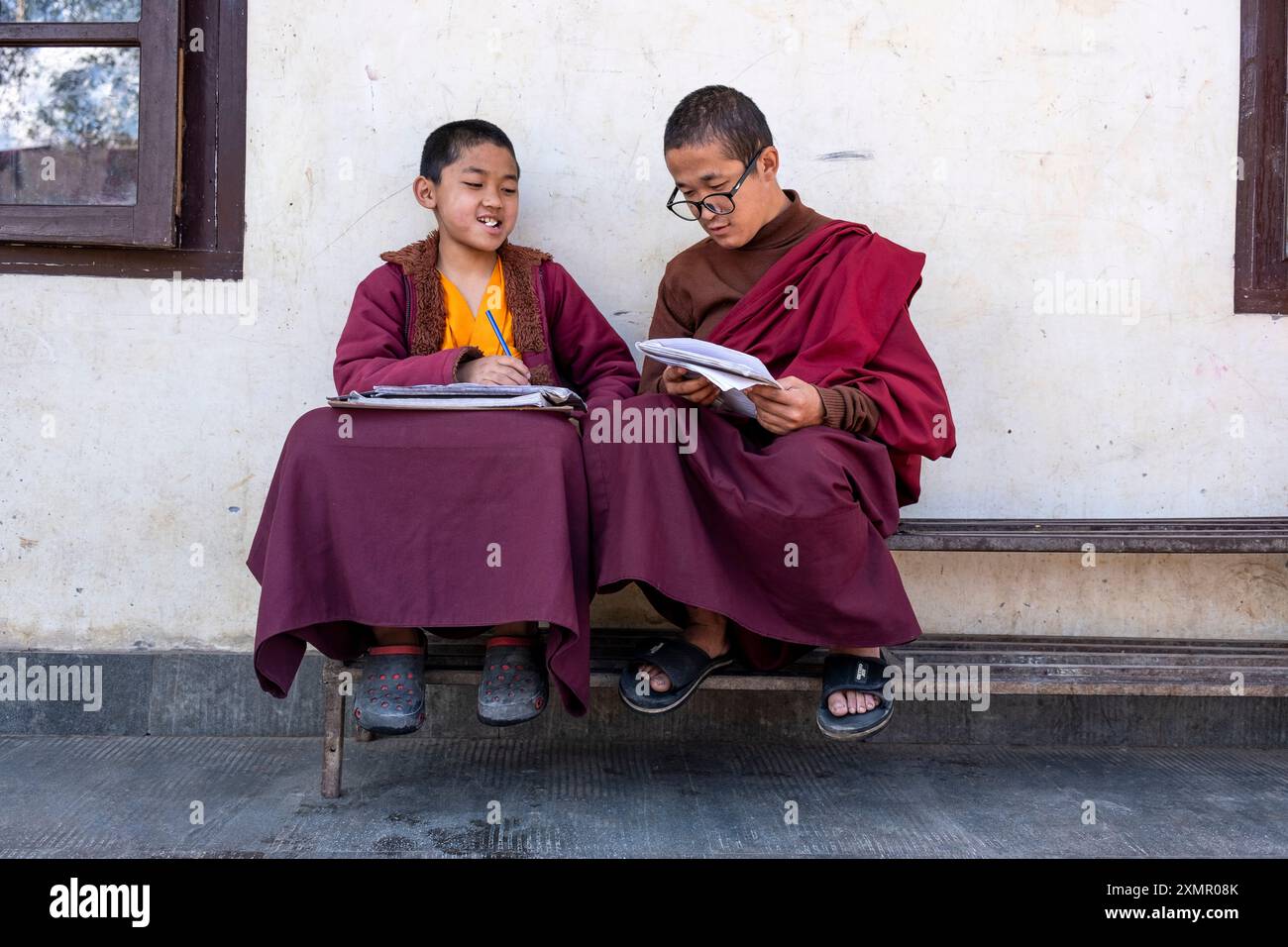 I monaci principianti studiano fuori dalla loro stanza scolastica, monastero di Enchey, Gantok, Sikkim, India, Asia Foto Stock