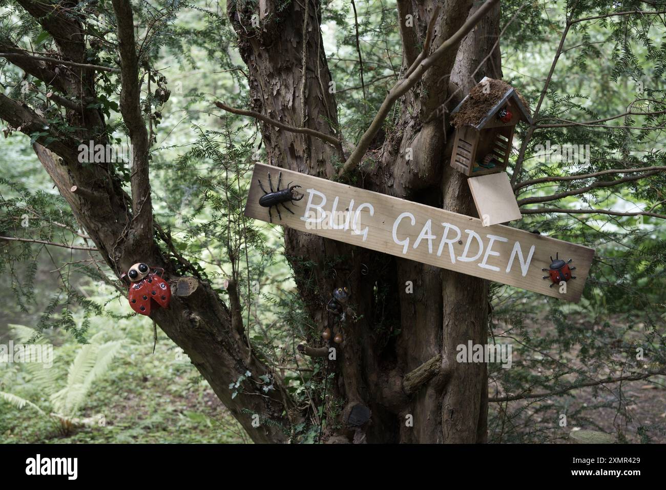Un cartello "Bug Garden" su un albero Foto Stock