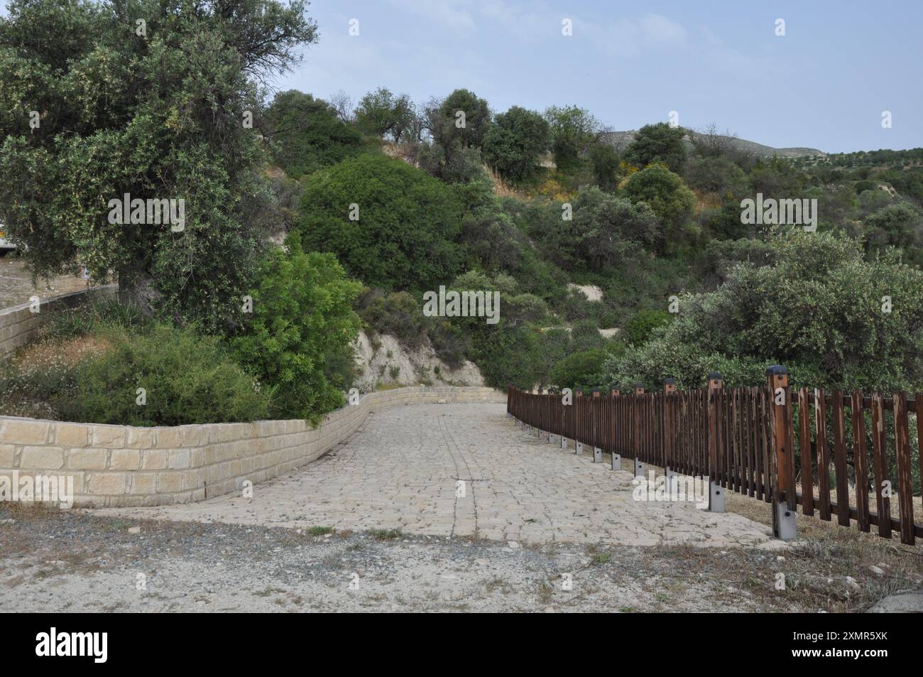 Il bellissimo fuoristrada vuoto tra alberi lussureggianti che crescono a Cipro Foto Stock