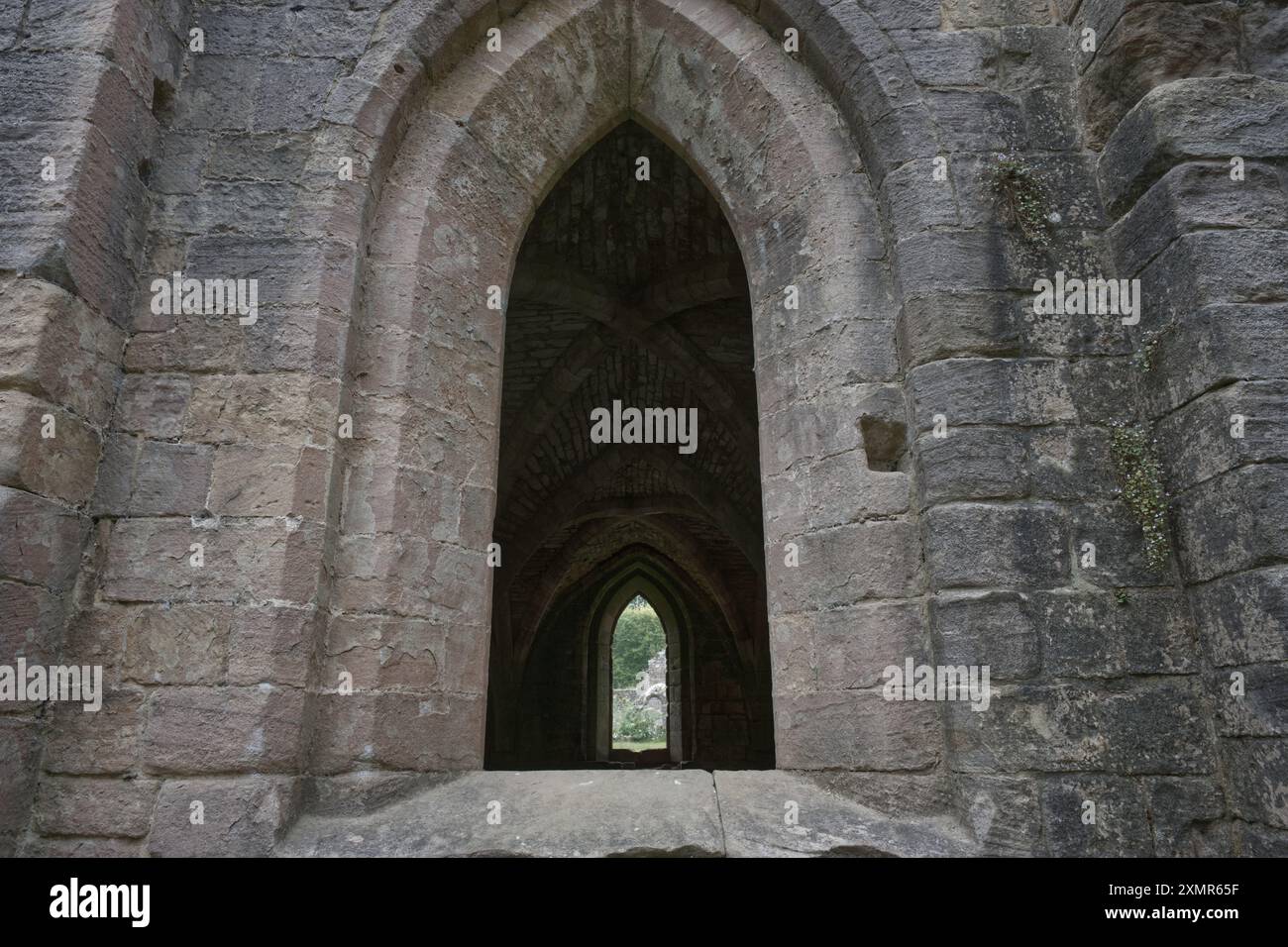 Le rovine di Fountains Abbey vicino a Ripon nel North Yorkshire, Inghilterra, Regno Unito Foto Stock