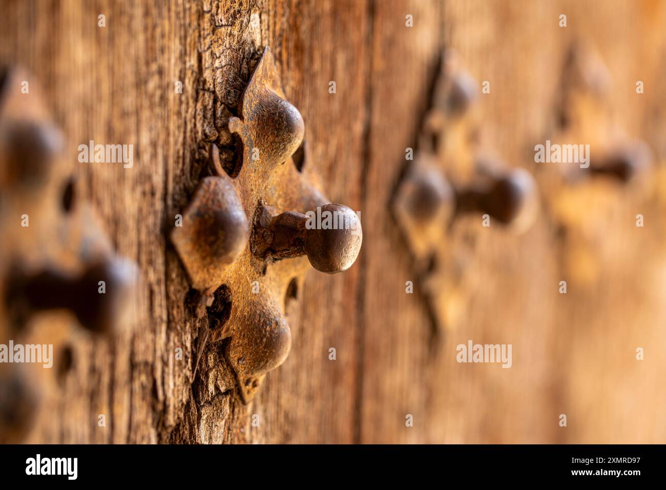 Dettagli in metallo forgiato con sfera di una vecchia porta in legno vista in prospettiva con luce soffusa Foto Stock