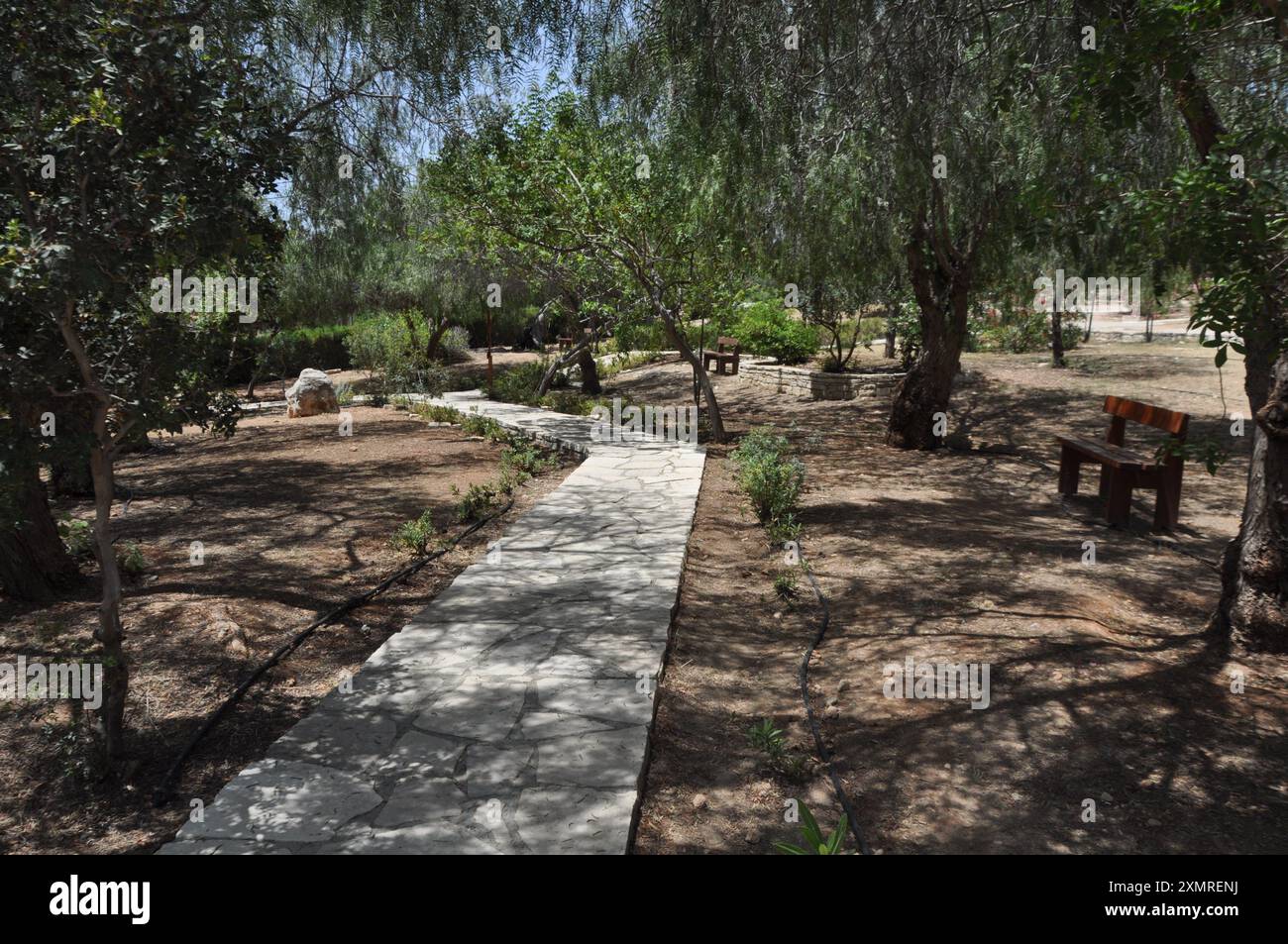 α percorso attraverso un bellissimo giardino verde con alberi e piante in vaso, fiorite e colorate Foto Stock