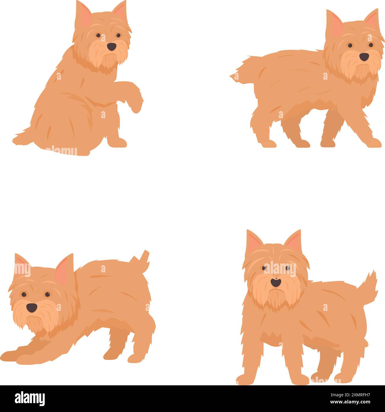Illustrazione di quattro adorabili terrier scozzesi in diverse posizioni su uno sfondo semplice Illustrazione Vettoriale