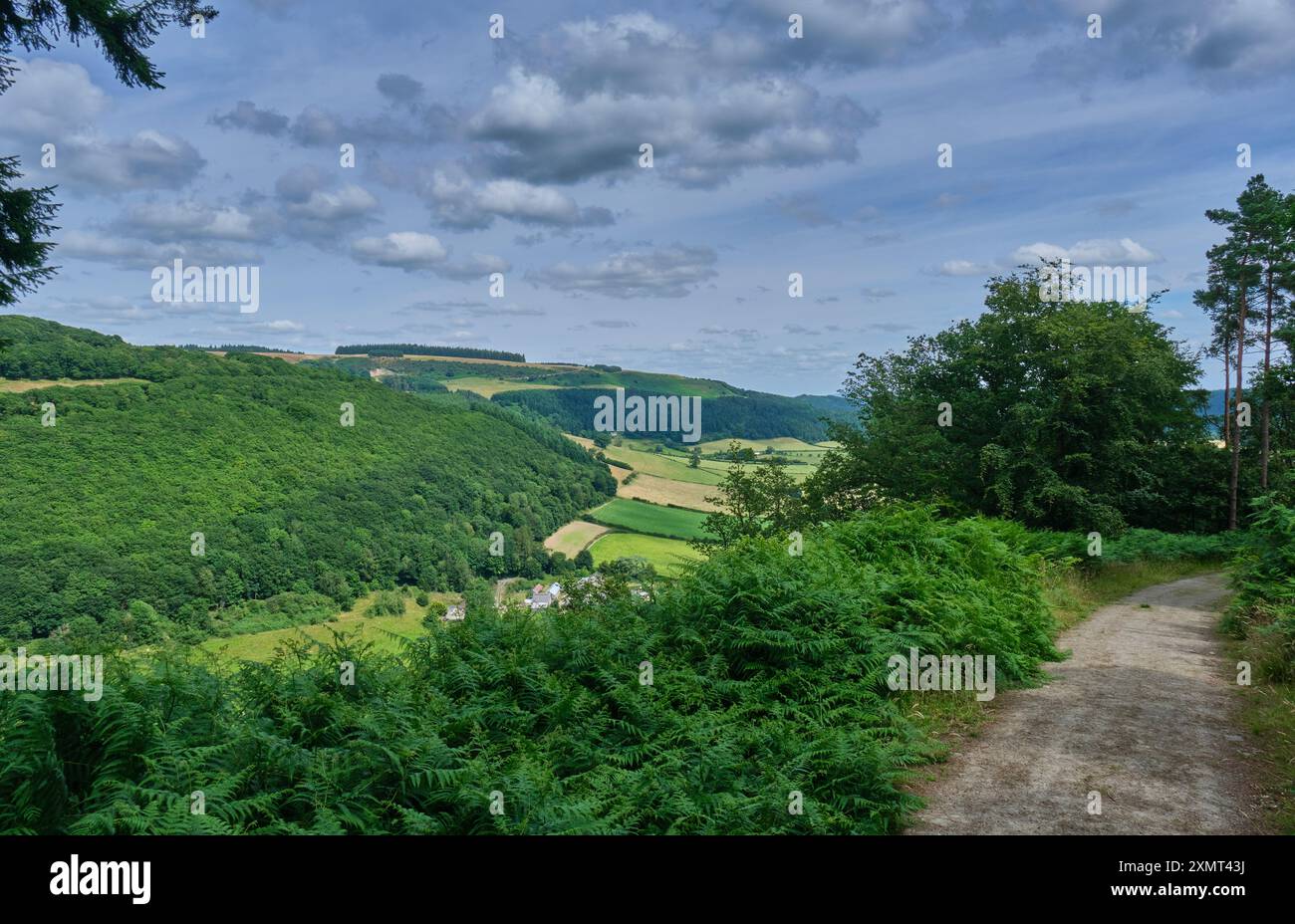 Stowe Hill vista da Kinsey Woods, Shropshire, vicino a Knighton, Galles Foto Stock
